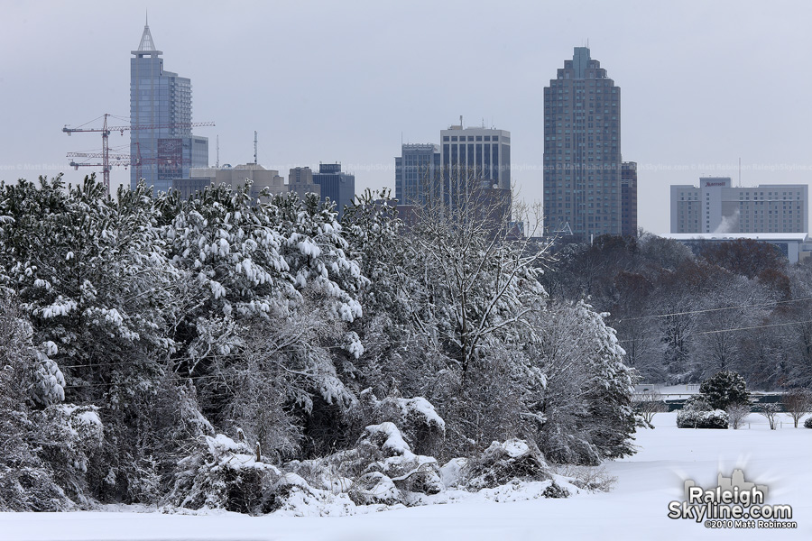 Snowy white day after Christmas in Raleigh