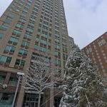 City Plaza Christmas tree covered in snow