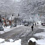 Winter Wonderland on Hillsborough Street