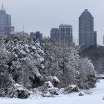 Snowy white day after Christmas in Raleigh