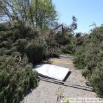 Tornado Damage in Caraleigh Mills