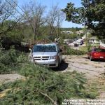 Maywood Avenue tornado damage in Caraleigh Mills