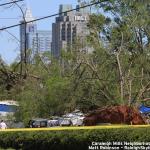 Uprooted tree damage with Raleigh Skyline