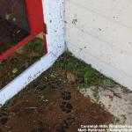 Debris gathered in the porch corner