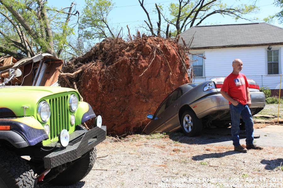 Uprooted tree