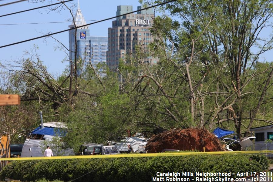 Uprooted tree damage with Raleigh Skyline