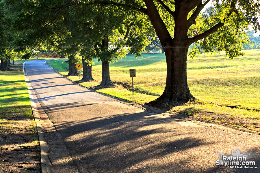 Late afternoon on Biggs Drive