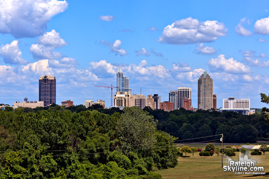 Super tall tripod skyline view over the trees