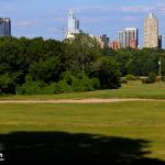 Raleigh skyline in the late afternoon