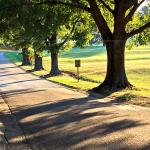 Late afternoon on Biggs Drive