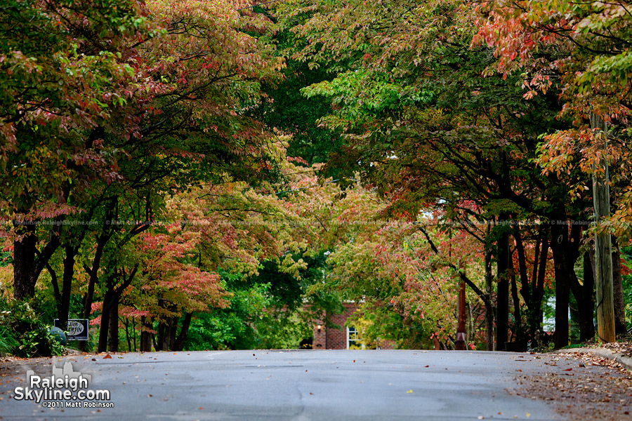 Early fall colors in Raleigh's Mordecai neighborhood