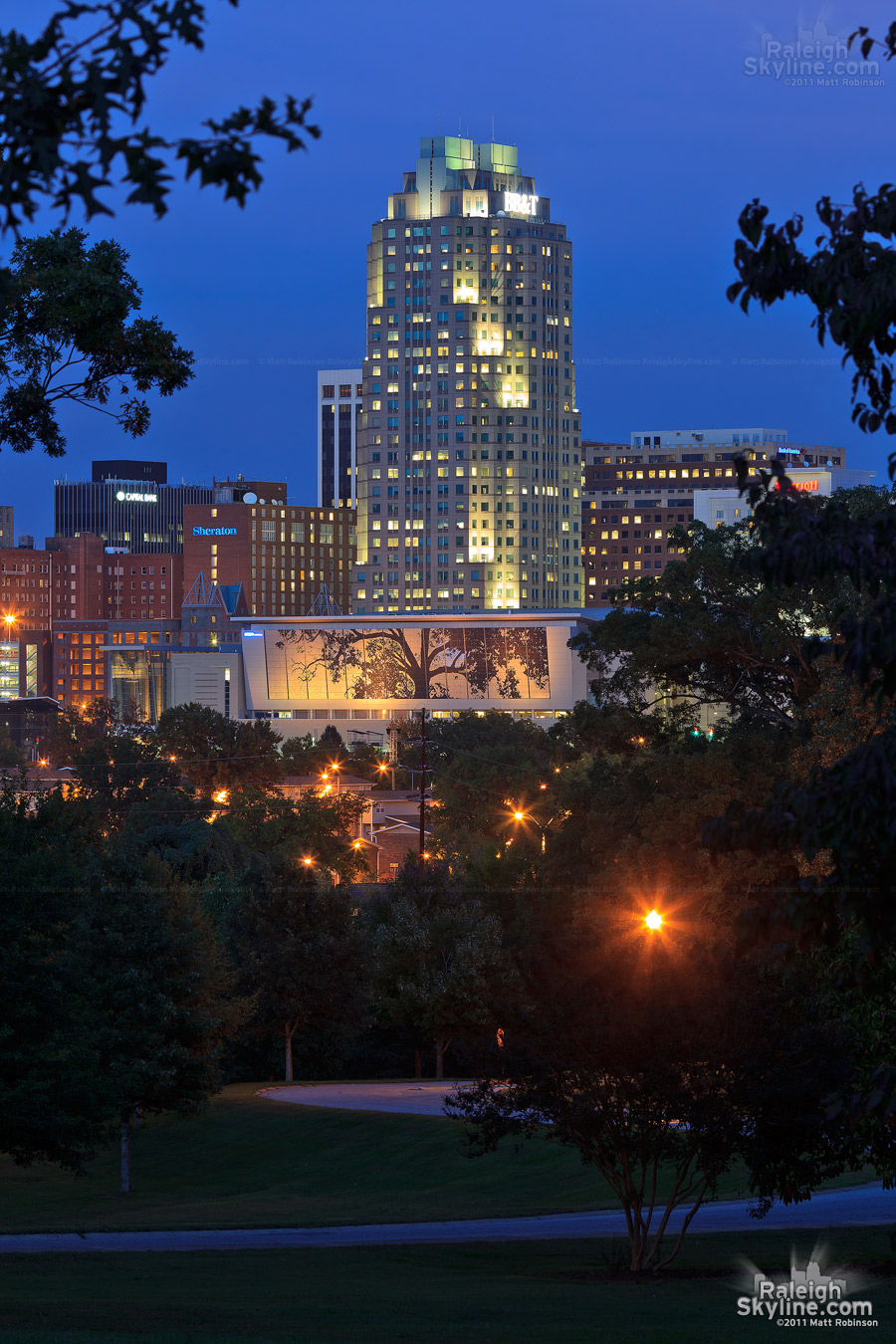 Two Hannover standing tall from Dorothea Dix