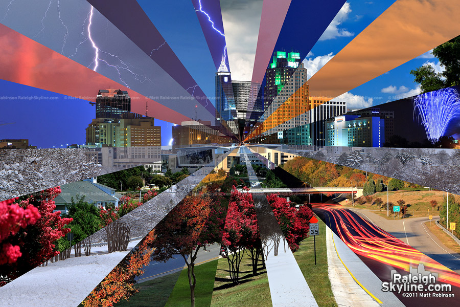 Downtown Raleigh Skyline Seasons - Version 1