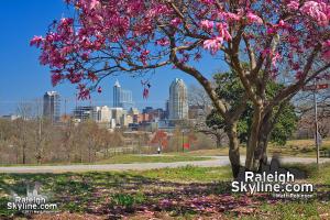 Springtime in Raleigh - 2011