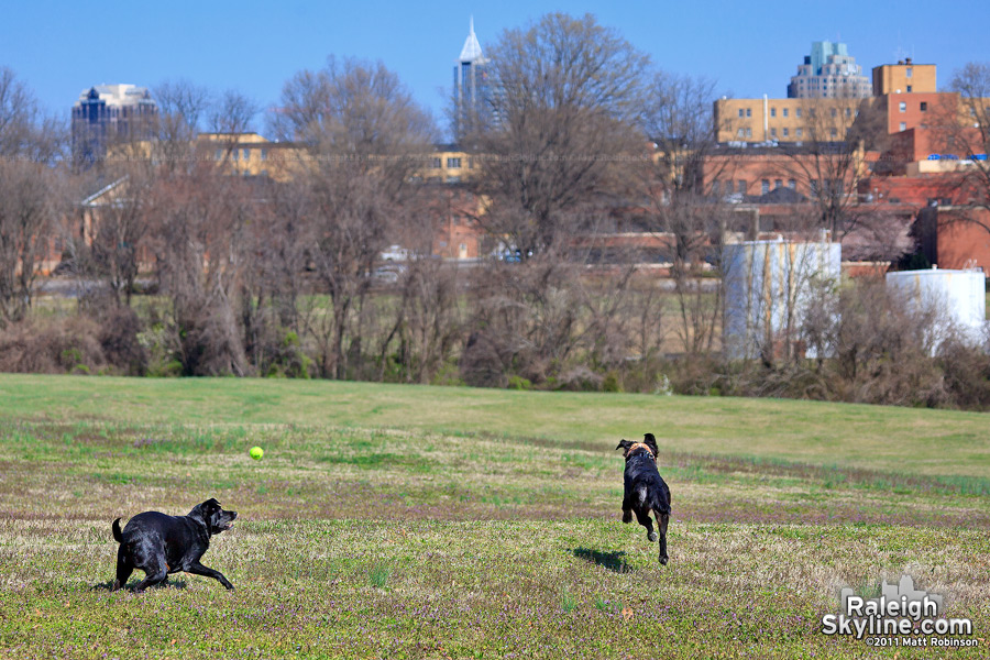 Beau and her friend Jordy enjoy playing at Dorothea Dix