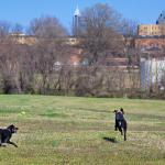 Beau and her friend Jordy enjoy playing at Dorothea Dix