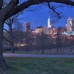 Old tree and Raleigh Skyline