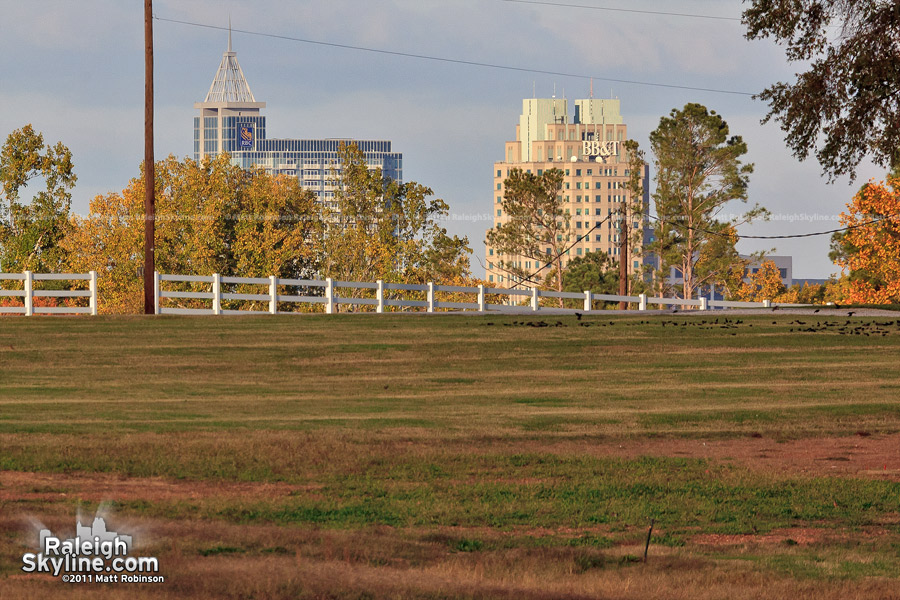 Downtown Raleigh from NCSU Lake Wheeler Road Field Laboratory