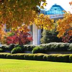 Fall colors near the legislative building