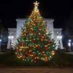 Raleigh Capitol Christmas Tree