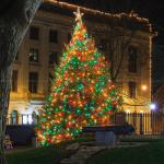 Raleigh Capitol Christmas Tree