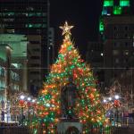 Raleigh Christmas Tree on Fayetteville Street