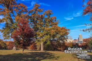 Raleigh Fall Colors - 2012