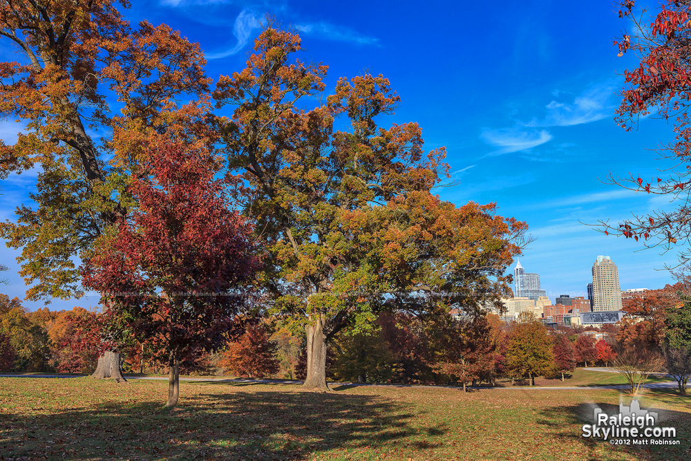 Fall trees at Dix Hill