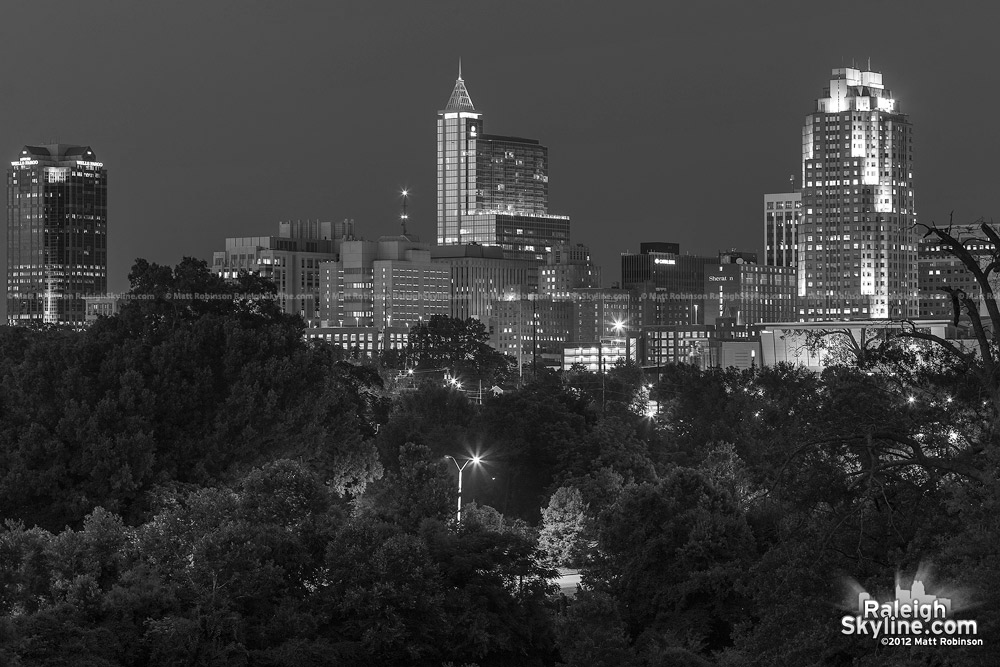 Black and White Raleigh Skyline from Dix Hill