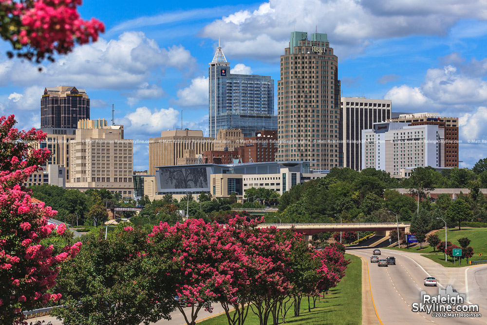 Raleigh skyline with blooming crepe myrtle trees