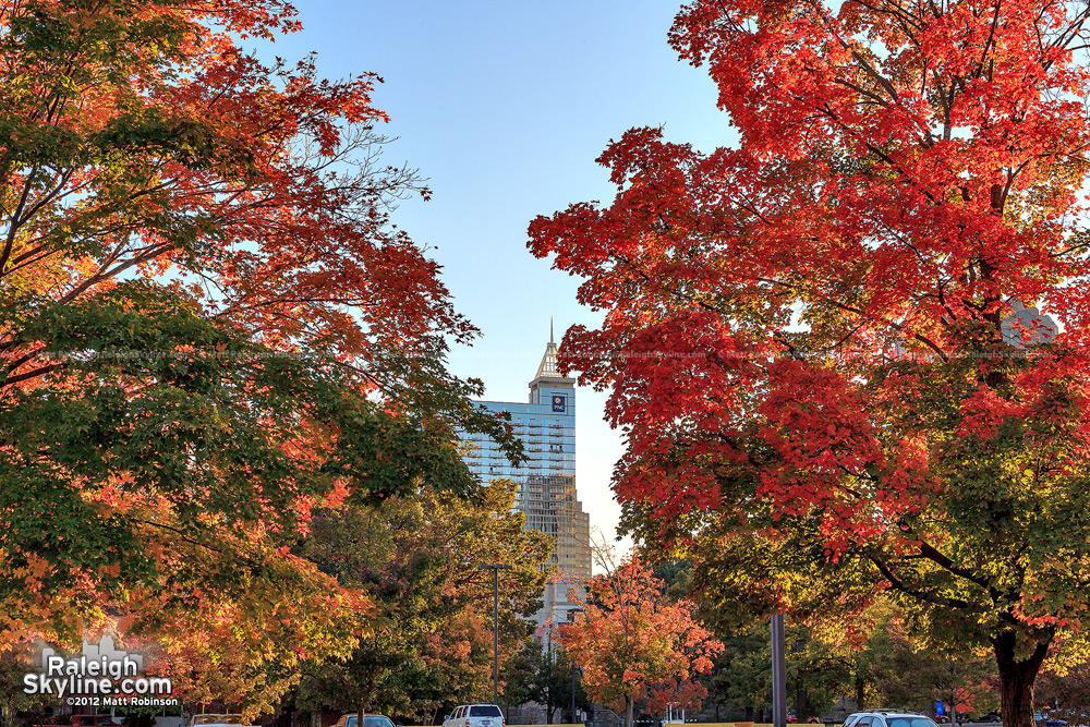 PNC Plaza and autumn trees