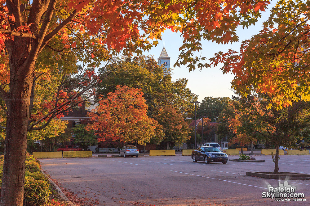Fall colors on Jones Street