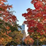 PNC Plaza and autumn trees