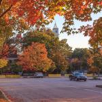 Fall colors on Jones Street