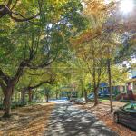 Fall colors on Kinsey Street in Boylan Heights