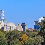 Lone autumn tree from Dorothea Dix