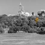 Black and white Raleigh skyline with orange tree