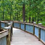 Walkway at Falls Lake, North Raleigh