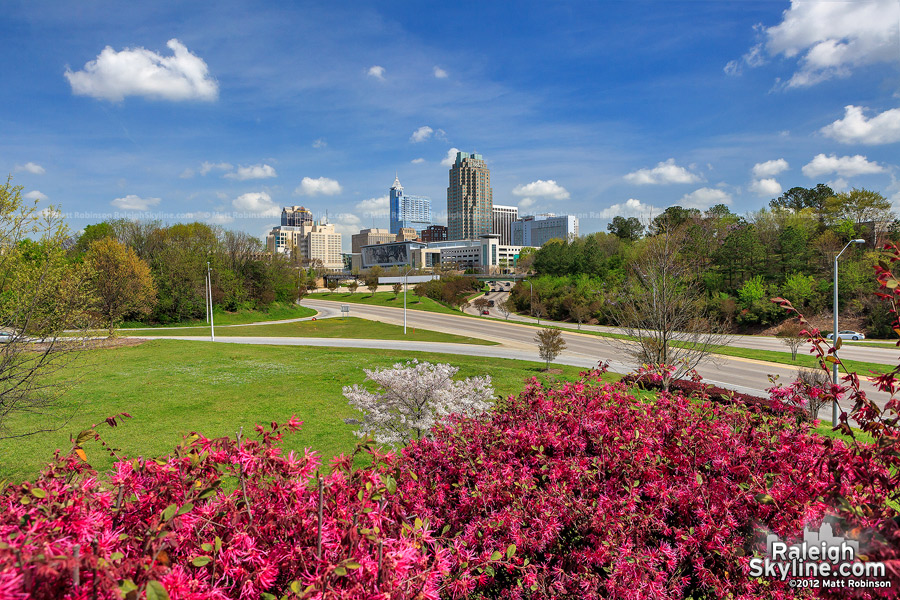 Springtime in Raleigh