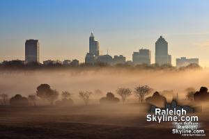 Scenes from a Foggy Morning - Raleigh