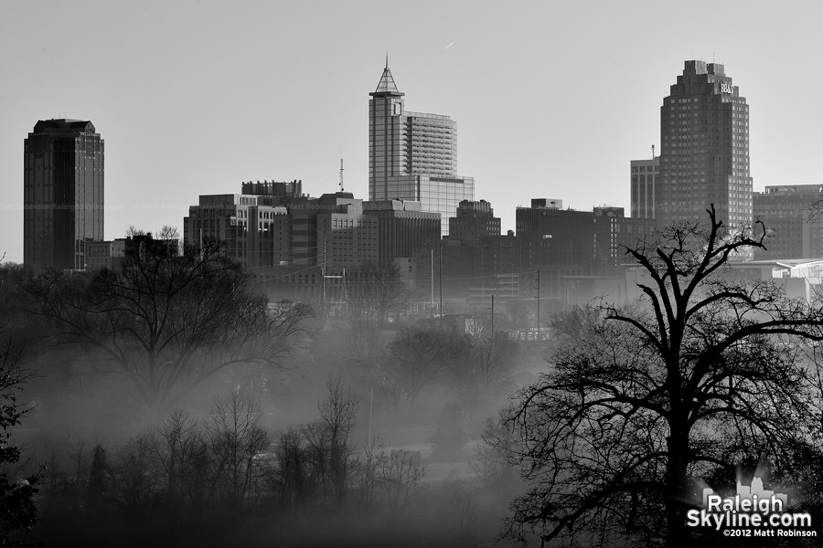 Black and White Raleigh in the fog