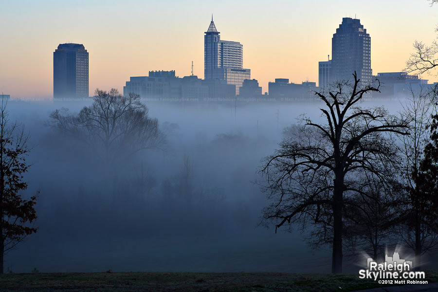 Downtown Raleigh in morning fog from Dorothea Dix