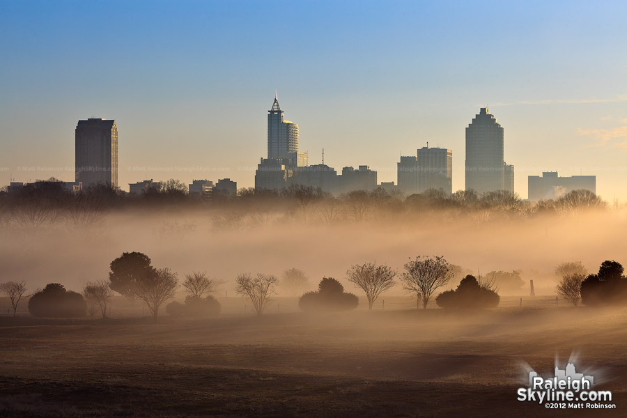 Morning fog with Raleigh Skyline