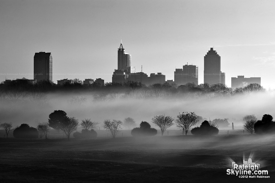 Black and White Morning fog with Raleigh Skyline