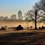 Misty fog with trees and Raleigh skyline