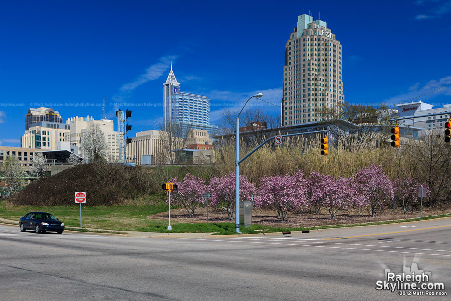 Raleigh as seen from South and Dawson Street in the spring