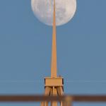 Red-tailed hawk sits atop PNC Plaza with the full moon