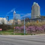 Raleigh as seen from South and Dawson Street in the spring