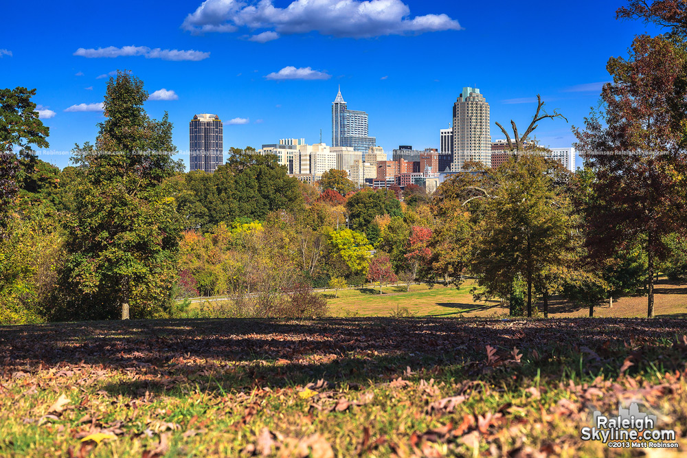 Fall scene from Dorothea Dix with Raleigh skyline