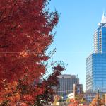 PNC Plaza and orange leaves